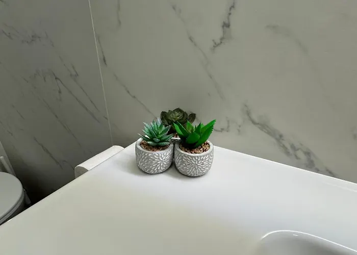 Bali House 빌라 부쿠레슈티